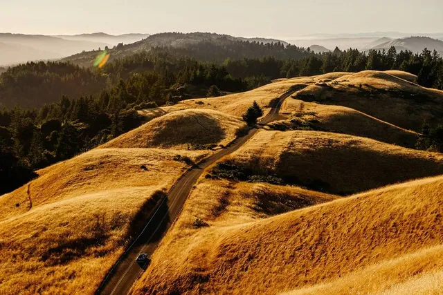 200+ California State Parks Are Free To Visit For MLK Day: Here Are The Ones Closest To San Francisco