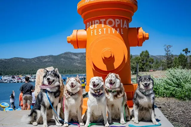 Big Bear Lake’s Ultimate (And Free) Puptopia Paw-ty Returns Next Week — Here’s What To Expect