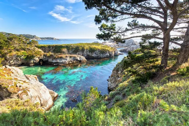 California’s ‘Crown Jewel’ Is Officially The State’s Most Visited Park — Famous For Its Kelp Forests And Adorable Sea Otters