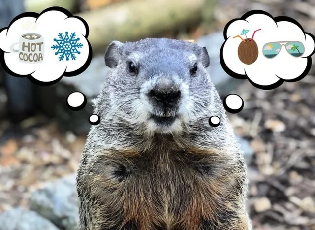 Groundhog Day 2026: Staten Island Chuck & Punxsutawney Phil Come To An Agreement On Spring Weather Forecast