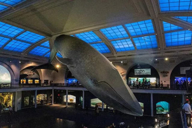 After A Sold-Out Run, Sleepovers At NYC’s Museum Of Natural History Return For 2026 — Here’s When Tickets Go On Sale