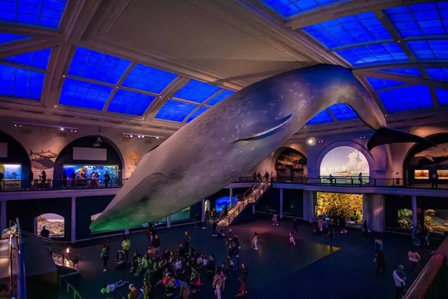 After 5 Years, Sleepovers Are Finally Back At NYC’s Museum Of Natural History — The First One Is This October