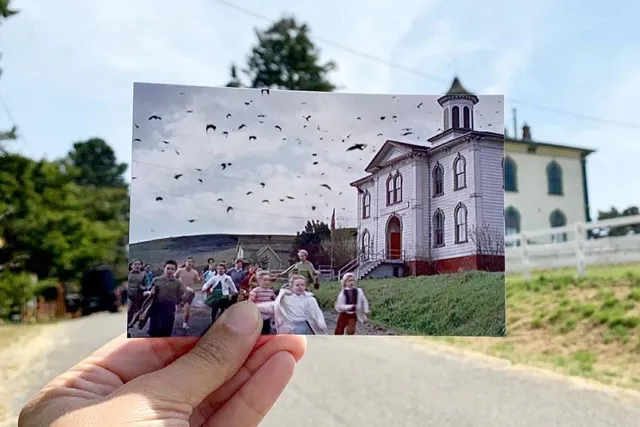 These Are All The Bay Area Filming Locations From Hitchcock’s ‘The Birds’ — Including An 1873 Schoolhouse And A Church Photographed By Ansel Adams