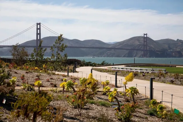 A New Art Market Is Coming To The Presidio Tunnel Tops This Weekend