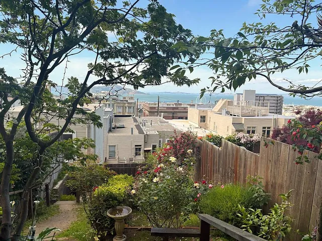This Hidden Garden In San Francisco Has Beautiful Bay Views And Blooming Flowers