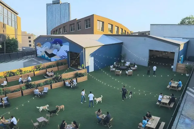 L.A.’s Newest Ohtani Mural Is In A Dog Park – Your First Look At Pawradise Park