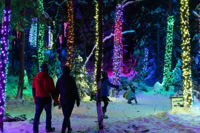 This Dazzling Natural Winter Wonderland Is A Short, Scenic Trip From NYC — With A Magical Forest Walk Lit By Thousands Of Twinkling Lights, Interactive Art And Even Real Otters