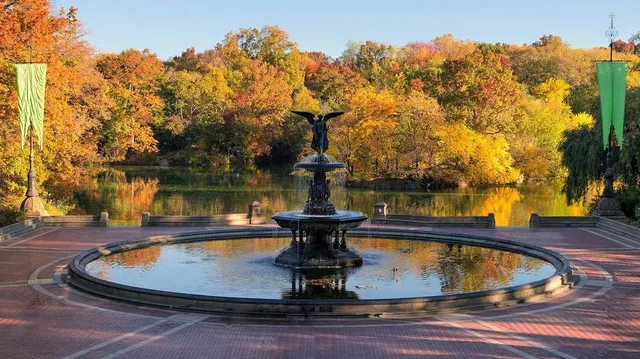 Central Park’s Fall Foliage Map Is Live—Here’s Where To Find The Most Gorgeous Spots