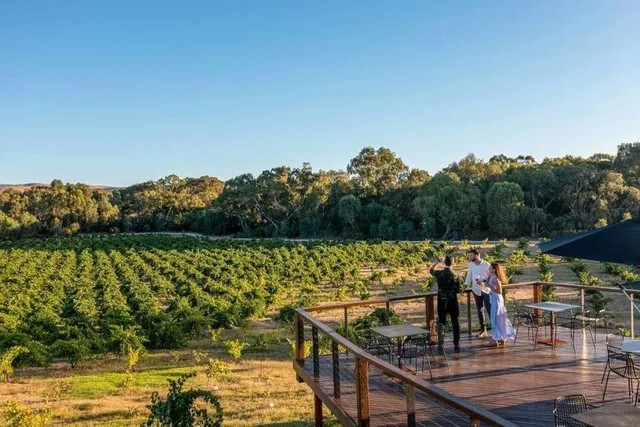 Bluestone Lane’s South Australia Wine Flights Could Send You To Adelaide For Free
