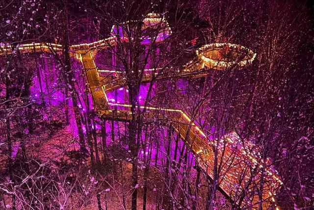 One Of The Highest Treetop Walkways In The Northeast Lets You Walk Through The Snowy Forest From 100 Feet In The Air, Just A Short Trip From NYC— With Light Up Pathways, Mountain Views And Unique Wildlife Spottings