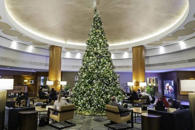 Last Minute Incredible Christmas Dinners in Chicago—From $60 Tasting Menus to 15-Course Omakase