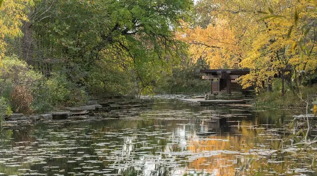 This Hidden Lily Pad Pool in Chicago Just Reopened After a Years-Long Closure