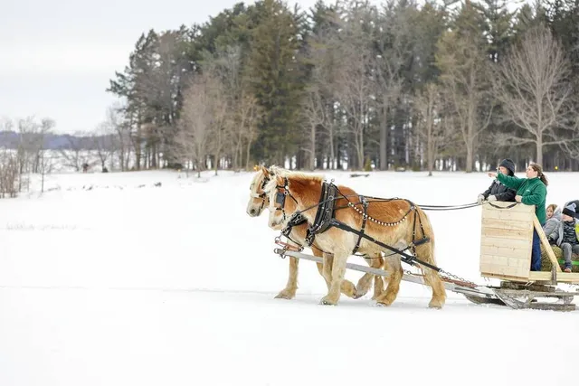 This Cozy Upstate NY Lake Town With Frozen Waterfalls & Horse Sleigh Rides Is Throwing A Huge Winter Festival This Weekend