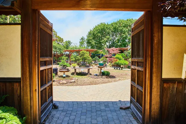 This Free Bonsai Garden In Oakland Displays Nearly 100 Miniature Trees—And Even Locals Don’t Know It’s There