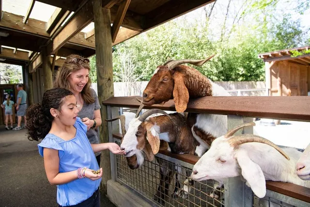 10 School Trips In NYC The Kiddos Will Actually Be Excited About