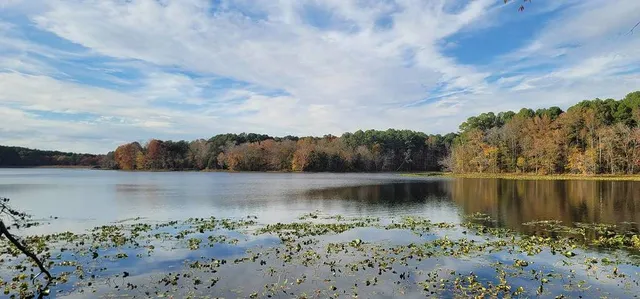 This Campground in Illinois Was Named Best in the Midwest—It’s Only $10 a Night