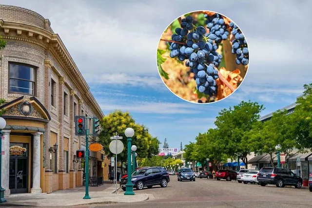 The ‘Zinfandel Capital Of The World’ Is 1.5 Hours From San Francisco — Named One Of The ‘Best Small Towns In CA’