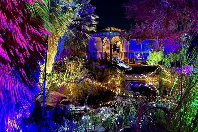 This East Bay Succulent Garden Turns Into A Whimsical Forest Of Lasers And Lights This November