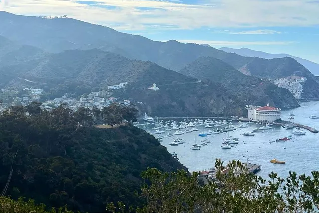 You Can Drive Golf Carts Up The Catalina Cliffside For Stunning Views – An Island Escape Just An Hour Ferry Ride From L.A.