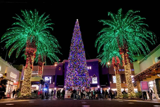 The World’s Tallest Fresh-Cut Christmas Tree Is Now On Display In L.A., Towering 115 Feet Over A Festive Los Angeles Outlet Mall