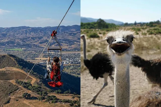 This Small Town Was Named One Of The Most Underrated In CA — Home To The State’s Biggest Ziplines & A Quirky Ostrich Ranch