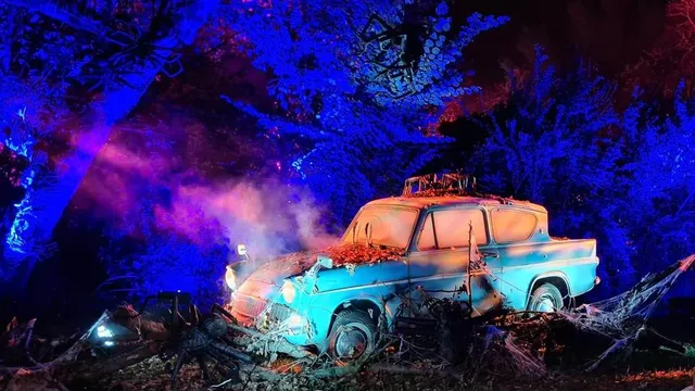 By Broomstick Or Magic Flying Car: How To Get To The Harry Potter Forbidden Forest Experience Opening Soon Near Chicago
