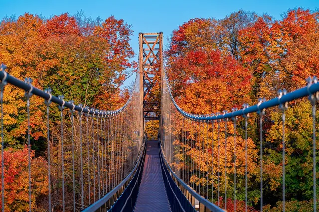 The World’s Longest Timber Tower Suspension Bridge is in the Midwest—And it OffersBreathtaking Fall Views