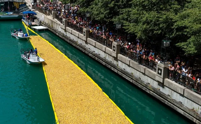 The Chicago Ducky Derby Is Back in August—Here’s How to Join the Race