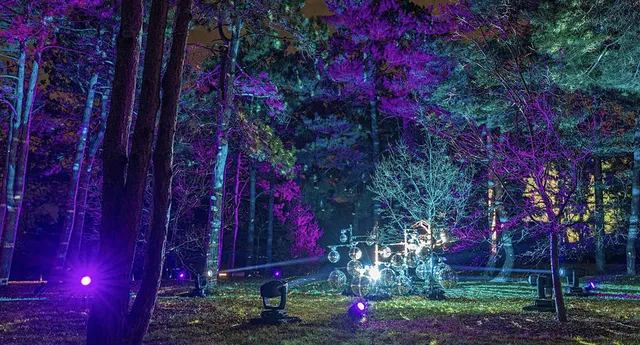 What’s New at the Morton Arboretum This Winter: Guided Yoga, Therapy Walks, and More