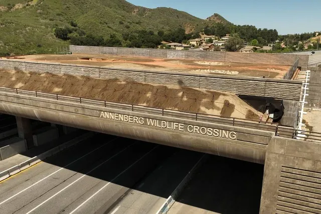 The World’s Largest Wildlife Crossing Just Got Its Letters — Here’s A Time-Lapse Of This Ambitious L.A. Project
