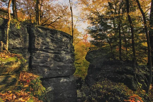 This Free Upstate NY Fall Foliage Festival Lets You Explore 60-Foot Rock Formations — Some Even 300 Million Years Old