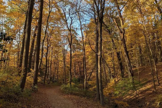7 Spectacular Hikes Near NYC For Peak Foliage — All With Waterfalls, Fire Towers, and Ridgeline Views