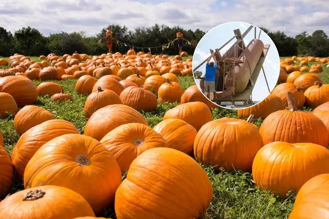 One Of America’s Best Pumpkin Patches Is Just 2 Hours From NYC — And It Has A Giant Pumpkin Cannon