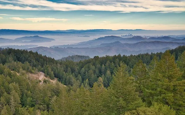 280 CA State Parks Host Free Events This Week—Here’s What’s Happening In The Bay Area, From Guided Hikes To Block Parties