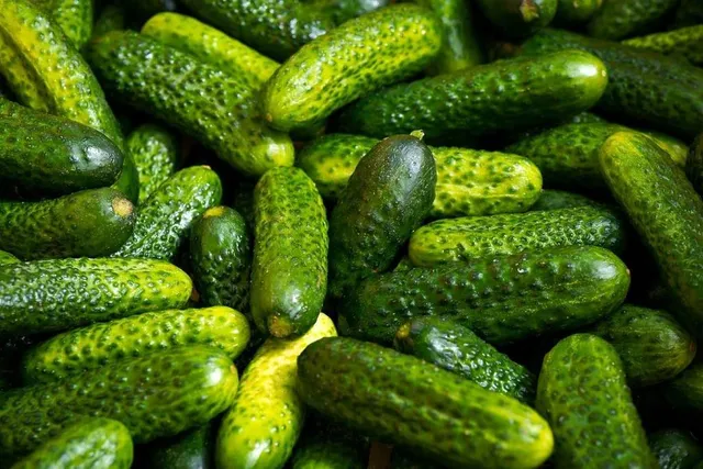 Crunch Into A Dill-icious Deal Today For National Pickle Day 2025