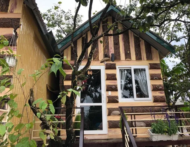 Pine Tree House Da Lat