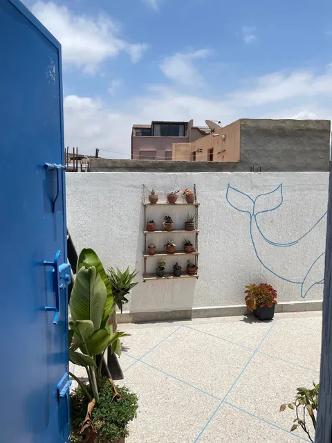 Surf Therapy Morocco