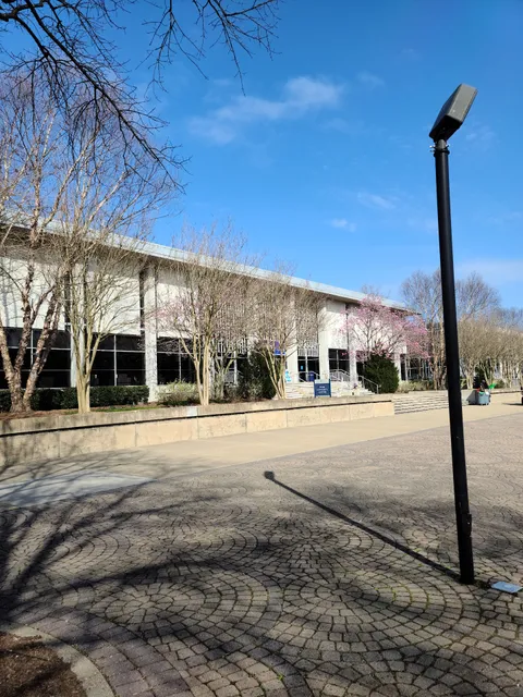 Old Dominion University