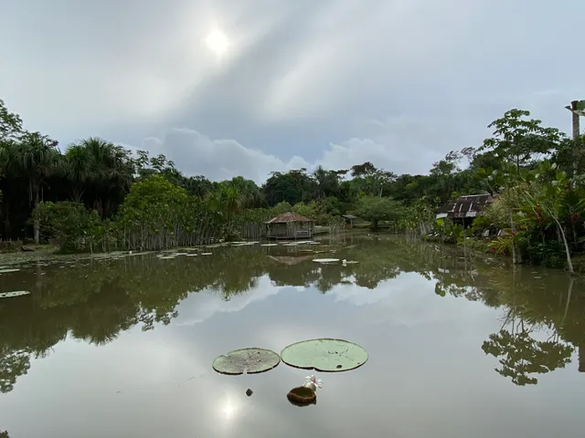 TUCAN JUNGLE EXPEDITION