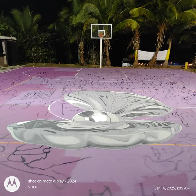 Mi Gente Basketball Court