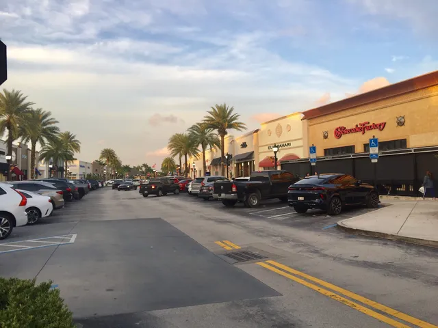 Elie Tahari Pembroke Gardens