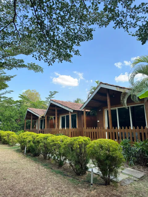 Trippr Chikkamagaluru