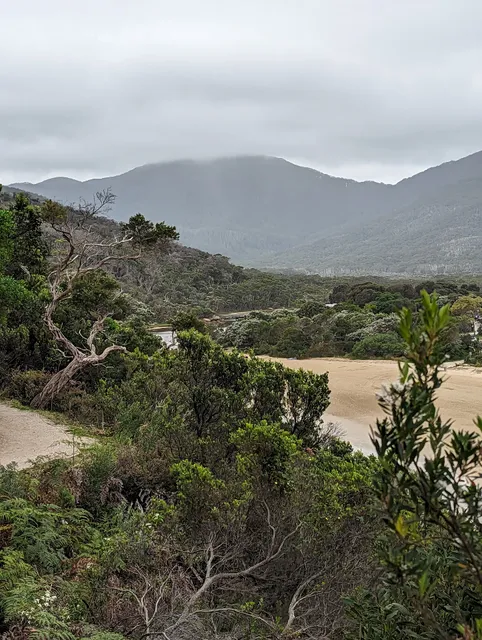 Tidal River Viewpoint 3
