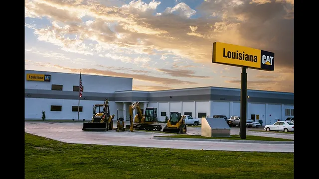 Louisiana Cat - Lafayette