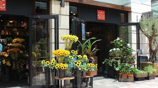 Aoyama Flower Market