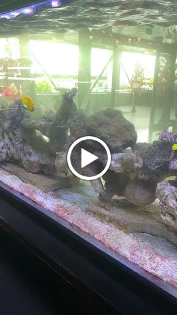 Yummy Asia Restaurant Cham Zug