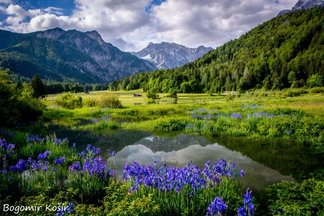 Pod Ponco Apartments