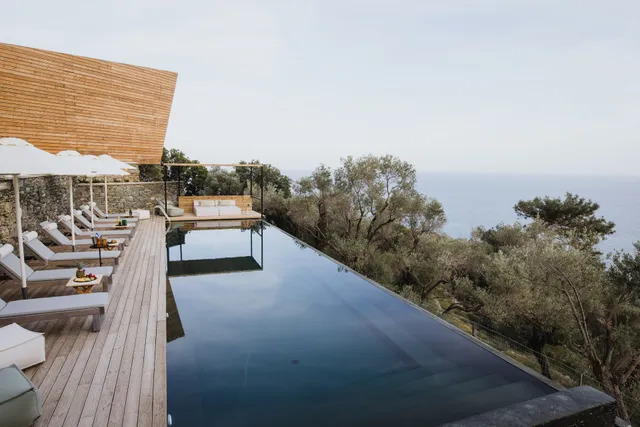 Five Olive Dream Trip