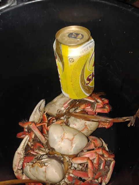 Panificadora Dona Benta