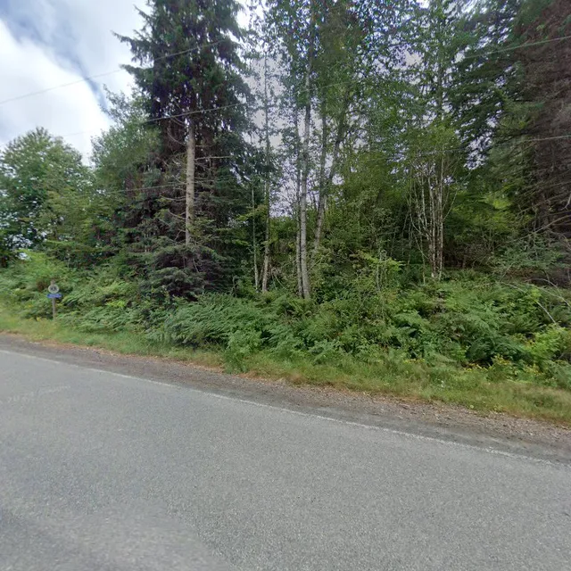 Rainier Mountain Lodge